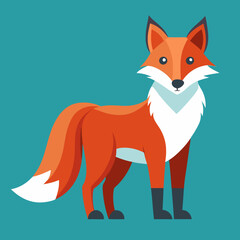 Obraz premium fox cartoon isolated on white