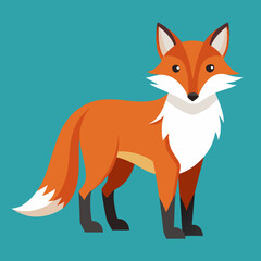 fox cartoon isolated on white