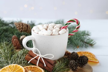 Yummy cocoa with marshmallows and candy cane in cup, dried orange slices, cinnamon sticks and fir tree branches on white table, closeup