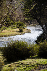 Patagonia rivers