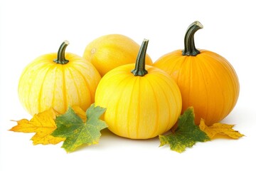 Isolated on a white background with a copy space, different food pumpkins or squashes for Halloween or Thanksgiving