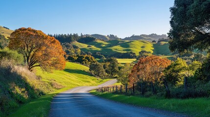Fototapeta premium Scenic Country Road Through Vibrant Green Hills