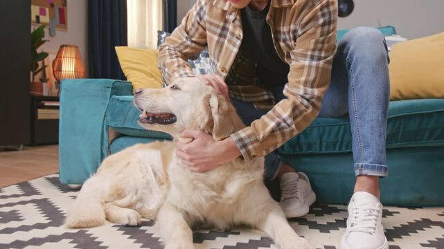Happy cute fuzzy retriever dog enjoying stroking of male owner while resting on floor at home. Young handsome man together with dog at peaceful apartment. Concept of pets, people and domestic animal.