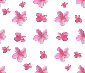 Seamless pattern featuring frangipani flowers. pink plumeria flower seamless pattern. pink plumeria seamless pattern watercolor.