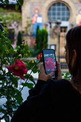 A person photographing a red rose with a smartphone, capturing details of the flower against a blurred background of a building.