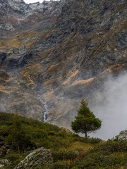 Misty Mountain Landscape with Tree, Waterfall, and Cirque in Belledonne Massif