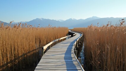 Obraz premium Scenic boardwalk through marshland with reeds and mountains