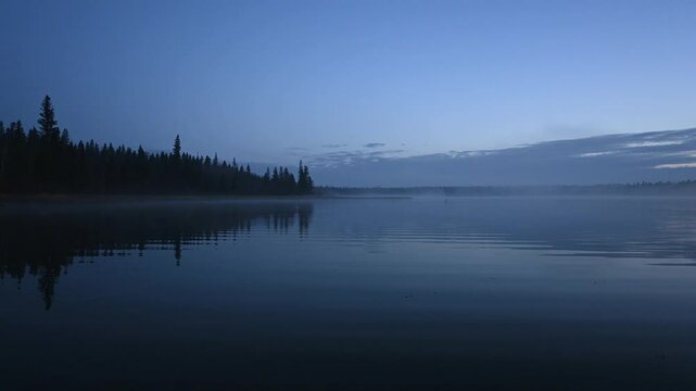 Early morning blue hour at a calm northern lake with a single swan in the mist
