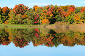 Amazing view of colorful autumn forest in the lake with trees reflected in water on sunny day