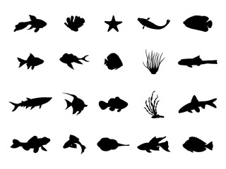 Set of Algae Fish Silhouette in various poses isolated on white background