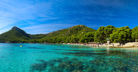 Fototapety na wymiar - Fototapeta24.pl