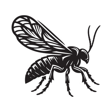 recommend clip art: illustration of a wasp fly insect