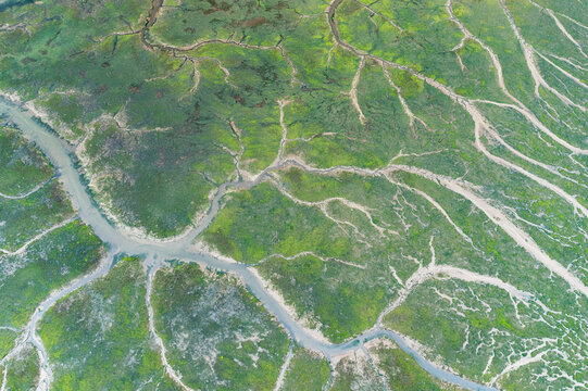 Aerial view of Ria del Eo's intricate estuary patterns