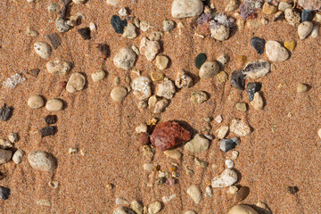 The coastline of the Red Sea. Sand, pebbles, corals, fossils. Background with a marine theme.
