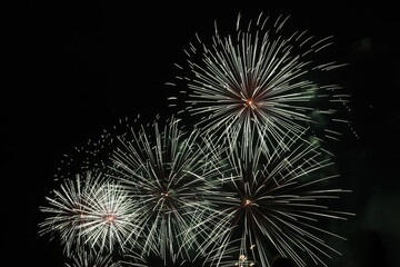 Fireworks Frolics