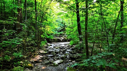 Fototapeta premium Measuring The Journey II