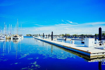 Fototapeta premium St petersburg, Florida, USA - 10 26 2024: The landscape of St petersburg downtown, harbor and pier: aerial view