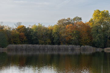 Tranquil autumn lake with reflections of colorful forest trees in calm water under soft light. Serene landscapes, seasonal beauty and natural reflections