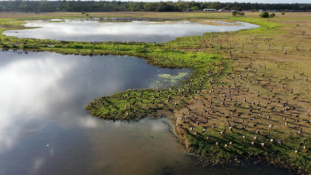 Aerial drone landscape view of St Lawrence wetland in Queensland Australia