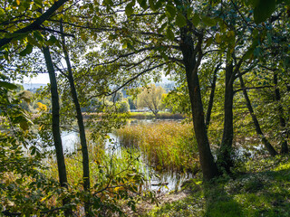 Autumn Landscape of Pancharevo lake,  Bulgaria