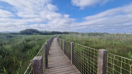 Obraz premium A path to toward the beach in Barcelona, Spain