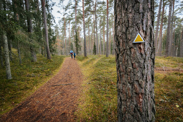 A close-up of a yellow triangle trail marker attached to a tree trunk in a forest. In the...