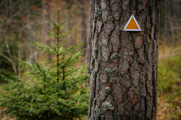 Fototapeta premium A close-up of a yellow triangle trail marker attached to a tree trunk in a forest. In the background, hikers walk along a scenic forest path surrounded by tall trees. The image captures a peaceful