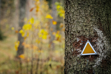 A close-up of a yellow triangle trail marker attached to a tree trunk in a forest. In the...