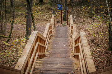 Obraz premium A wooden staircase winds upwards through a forest filled with autumn foliage. The path is lined with sturdy railings, guiding visitors through the colorful natural setting