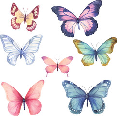 Obraz premium set of butterflies isolated on white