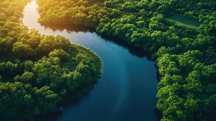 Serene river winding through lush green forest at sunset