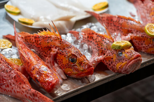 Close-up of fresh brujo (scorpion fish) on ice outside of a seafood restaurant in Puerto Ayora