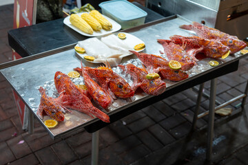 Fresh brujo (scorpion fish) on ice outside of an outdoor seafood restaurant in Puerto Ayora