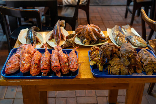 Fresh locally-caught seafood on display outside of restaurant in Puerto Ayora. Includes brujo (scorpion fish), octopus, and slipper lobster