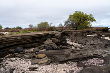 Galapagos landscape shaped by sedimentary rock, sand, and plant life