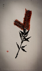Bottlebrush sumi-e