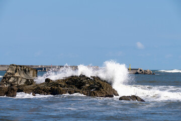 白波たつ銚子の海
