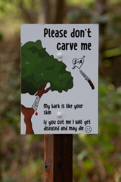 Ein Hinweisschild welches das anritzen von B&auml;umen und hinterlassen von Ritzungen in der Baumrinde verbietet. Bitte die B&auml;ume nicht ritzen.