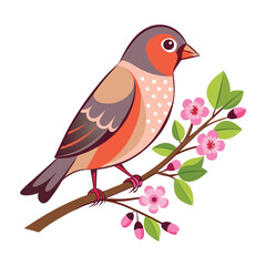 delicate finch on a branch with budding flowers
