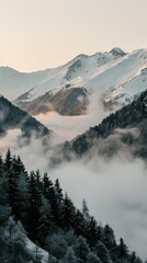 Obraz premium Misty mountain valley at sunrise with snow-covered slopes and evergreen forest in a tranquil winter alpine setting
