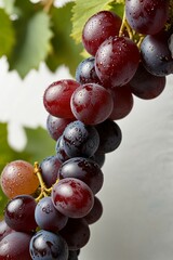 A bunch of green and black grapes, Fresh grasp images
