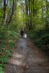 Woman walking with white fluffy dog up a trail in Kirkland Watershed Park, fall fitness
