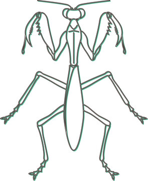 praying mantis outline drawing clip art preview