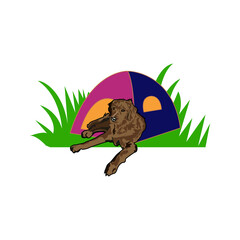 Dog Illustration Design	PNG