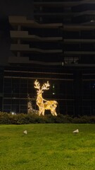 Reindeer Illuminated Christmas Decoration outside in Melbourne Australia