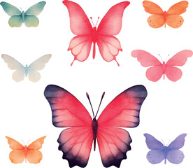 collection of butterflies