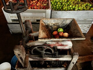 Apple cider press with apple bins in the background