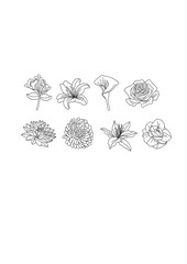 hand drawn illustration of a flower