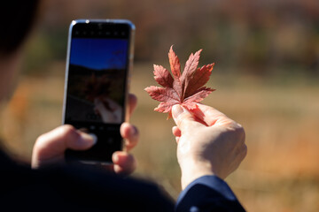 紅葉　葉　スマートホンで撮影している女性　イメージ