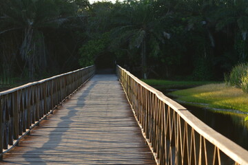 Fototapeta premium praia do forte - bahia